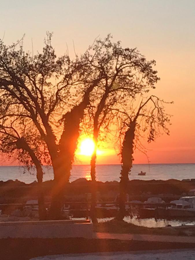Maj Premium Apartment 4 Sterne - Neu Renoviert Poreč Dış mekan fotoğraf